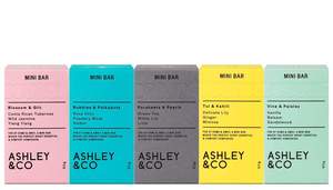 Ashley Co: Ashley and Co Mini Bars