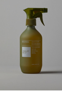 Bench Press - Surface Cleaner