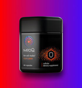 mitoQ +Curcumin