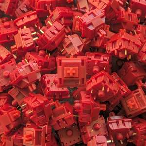 Keyboard Switches: Sillyworks x Gateron - Type R Switches