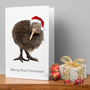Kiwi Coast Christmas Cards
