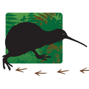 Products: ‘Follow the Kiwi’ Monthly Sponsorship