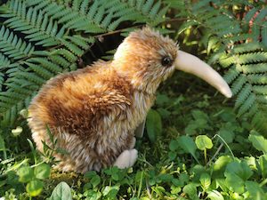 Products: Kiwi Chick Soft Toy