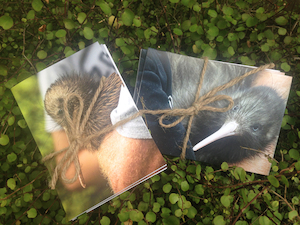 Products: Packs of Kiwi Coast Cards