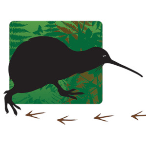 Products: Sponsor Kiwi