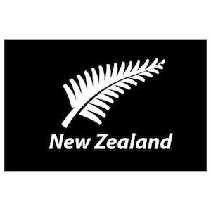 Flags Of New Zealand: Flag New Zealand Silver Fern  60 X 90 cm