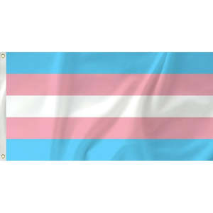 Military And Assorted Flags: Transgender Pride Flag