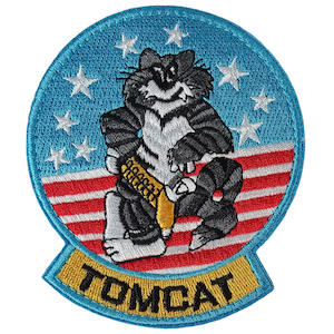 Badges Patches Insignia: US Navy F-14 Tomcat Embroidered Patch