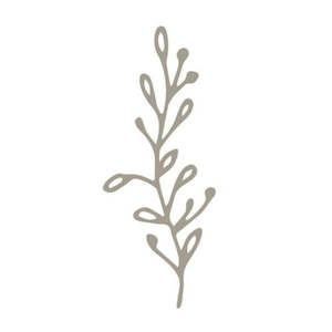 Kitchen Storage Baskets: Kiwi Family Kitchen Gift Card