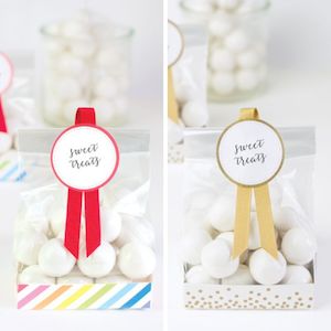 Gift Packaging Nz: Paper Eskimo Treat Bags - 12 pack (2 options)