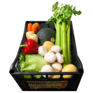 Products: Vege Boxes