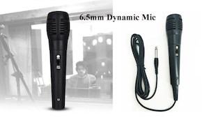 6.5 mm Dynamic Microphone with 3m Cable – TradeMaster