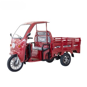 Electric Scooter: Electric Cargo Trike Scooter E Tricycle - Kiwi Hoverboard & Scooter