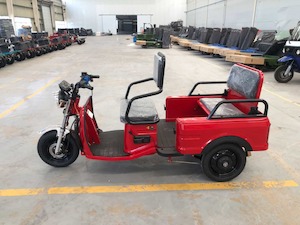 Electric cargo/Passenger 2 in 1 tricycle Red - Kiwi Hoverboard & Scooter