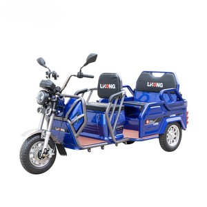 Electric Scooter: Electric cargo/Passenger 2 in 1 tricycle - Kiwi Hoverboard & Scooter