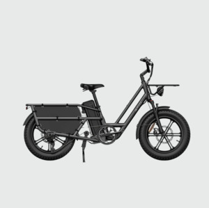 Products: Fiido T2 Longtail Cargo E-bike Grey - Kiwi Hoverboard & Scooter