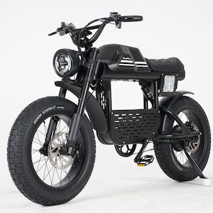 Products: Best ELECTRIC BIKE FT-01 BLACK 48V22.5AH E-BIKE