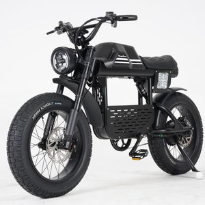 Products: Best ELECTRIC BIKE FT-01 BLACK 48V22.5AH E-BIKE