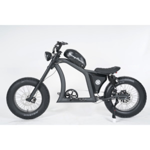 Products: Best ELECTRIC BIKE FT-02 BLACK 48V22.5AH E-BIKE
