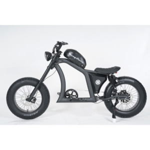 Products: Best ELECTRIC BIKE FT-02 BLACK 48V22.5AH E-BIKE
