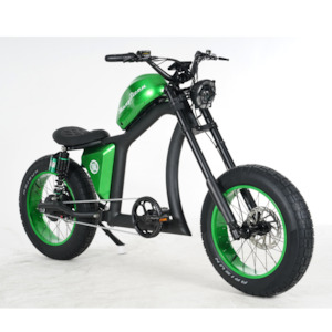 Best ELECTRIC BIKE FT-02 GREEN 48V22.5AH E-BIKE