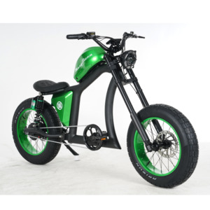 Products: Best ELECTRIC BIKE FT-02 GREEN 48V22.5AH E-BIKE