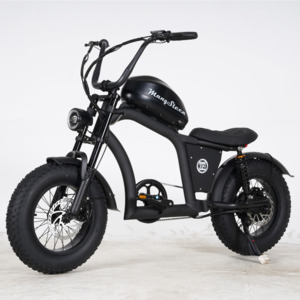 Products: Best Mangosteen ELECTRIC BIKE 48V15AH FT-02 MINI BLACK