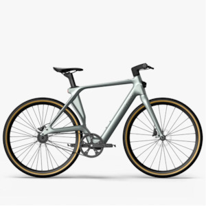 Fiido Air 36V 5.8Ah Electric bike Ultra-Light Carbon Fiber E-Bike - Size L - Kiw&hellip;
