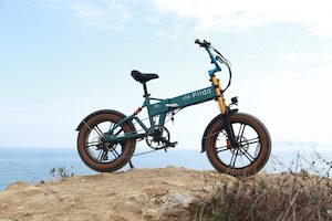 Fiido M1 Folding Electric Bike 48V 13AH 2025 - Kiwi Hoverboard & Scooter
