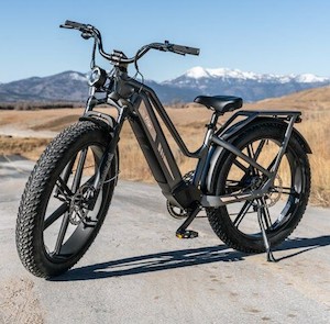 FIIDO Titan Fat Tire E-bike - Kiwi Hoverboard & Scooter