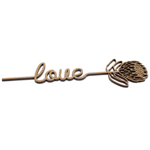 Products: Protea Love Kiwi Laser