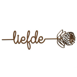 Products: Protea Liefde Kiwi Laser