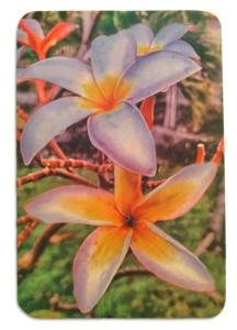 Two Frangipani puzzle
