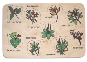 Te Reo Puzzles: Rongoa Plant Medicine puzzle