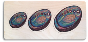 Three Paua puzzle