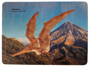 Pterosaur puzzle
