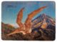 Pterosaur puzzle
