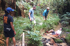 Outdoor First Aid firstaidnorthland.co.nz