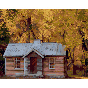NZ Landscapes: Arrowtown in Autumn