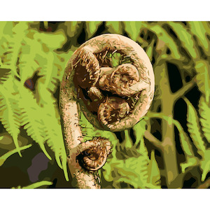 NZ Landscapes: New Zealand Fern
