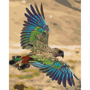 New Zealand Native Birds: Kea