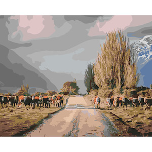 South Island Scenes: Glen Lyon Heifers