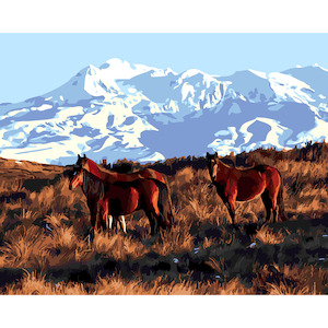 North Island Scenes: Kaimanawa Horses