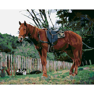 East Coast Stockhorse *NEW*