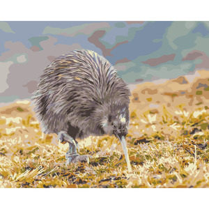 Frontpage: Southern Brown Kiwi *NEW*