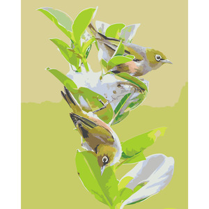 Frontpage: Silvereye *NEW*