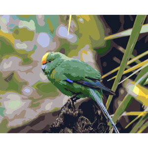 Frontpage: Kakariki Karaka *NEW*