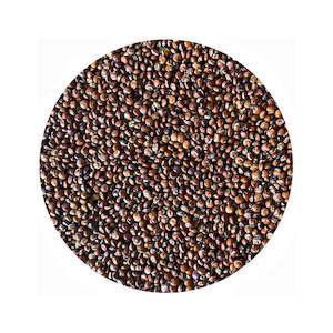 Frontpage: Wholegrain Red Quinoa