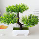 Artificial Plastic Plants Bonsai Small Tree Pot Fake Plant Potted Flower Home Ro&hellip;