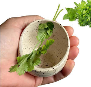 Kitchen: NZ Stock Herb Stripper Bowl – Portable Leaf Remover Kitchen Gadget 10x8.5x6cm